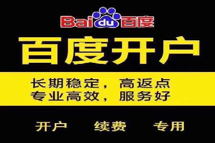 百度竞价广告在旅游行业的营销策略及效果